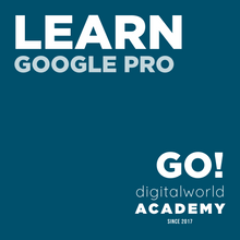 Laden Sie das Bild in den Galerie-Viewer, Google Pro Seminar - digitalworld Academy OG