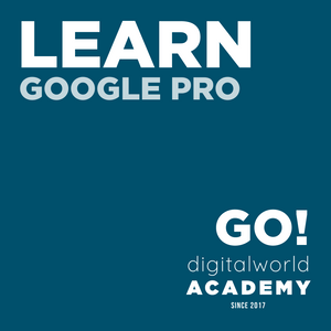 Google Pro Seminar - digitalworld Academy OG